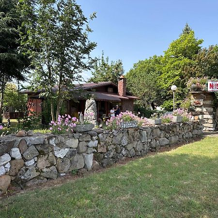 Villa Borovitsa Exterior photo